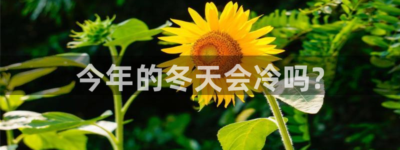 聚彩传媒有限公司