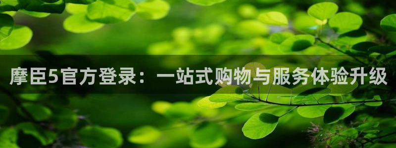 聚彩源