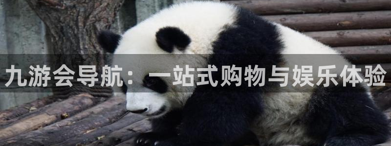 深圳市聚彩科技有限公司