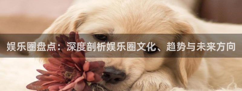 聚彩app官方入口