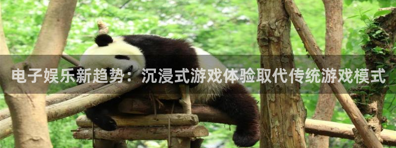 聚彩电器