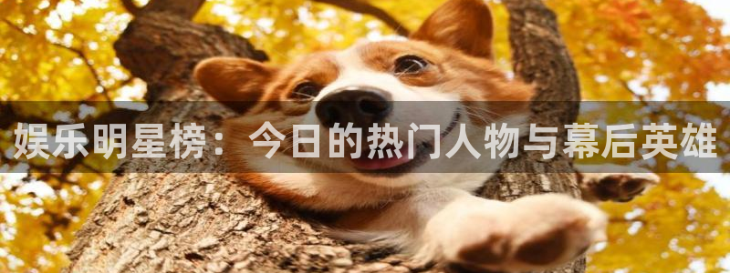 聚彩科技有限公司