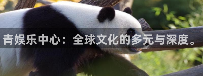 聚彩堂开奖结果查询：青娱乐中心：全球文化的多元与深度。