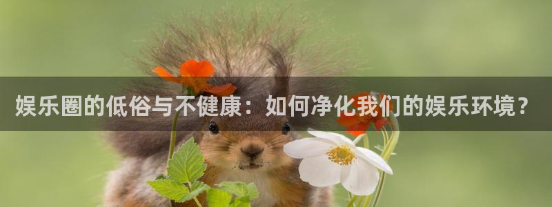 澳门资料聚彩堂：娱乐圈的低俗与不健康：如何净化我们的娱乐环境？
