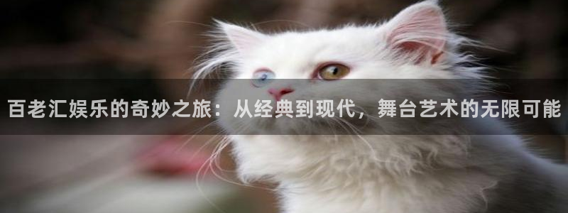 聚彩居三和酒楼：百老汇娱乐的奇妙之旅：从经典到现代，舞台艺术的无限可能