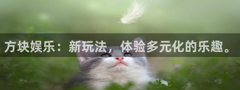 3217聚彩网：方块娱乐：新玩法，体验多元化的乐趣。