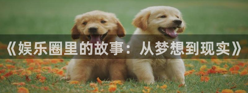 鑫聚彩led：《娱乐圈里的故事：从梦想到现实》