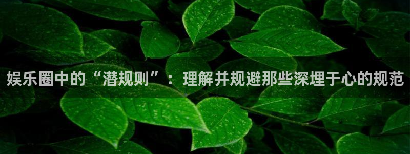 聚彩堂01849高手论坛