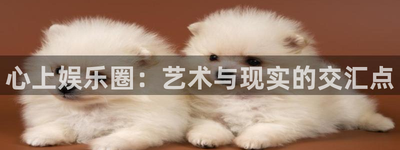 聚彩jc