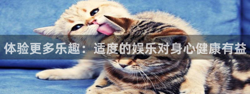 东莞聚彩居三和酒楼