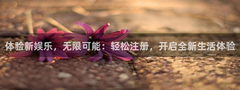 聚彩登录