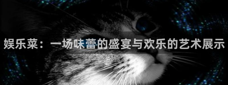 聚彩广告：娱乐菜：一场味蕾的盛宴与欢乐的艺术展示