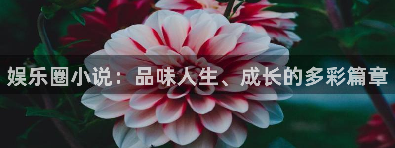深圳市中恒聚彩光电有限公司：娱乐圈小说：品味人生、成长的多彩篇章