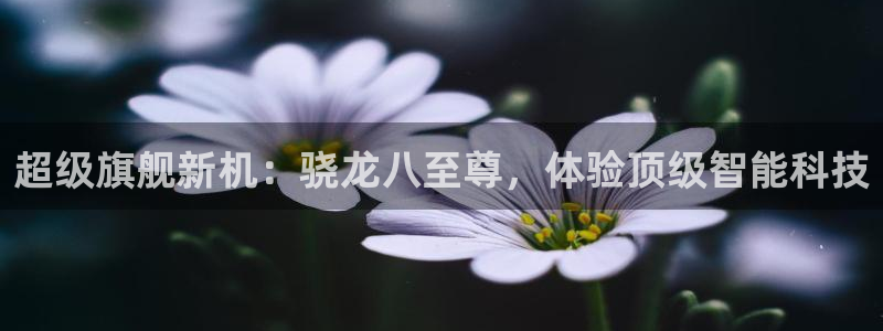 新南聚彩荟购物中心：超级旗舰新机：骁龙八至尊，体验顶级智能科技